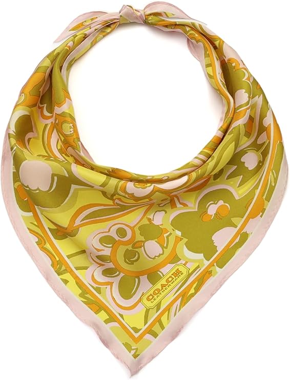 Coach womens Andrea Paisley Printed Silk Triangle