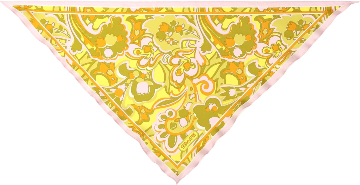 Coach womens Andrea Paisley Printed Silk Triangle2