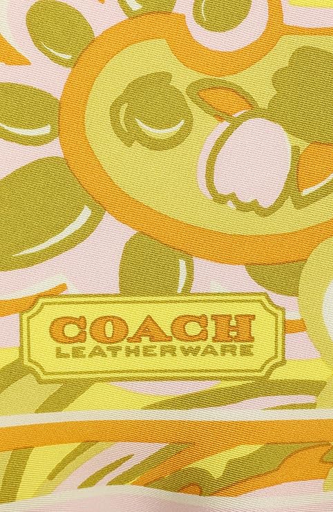 Coach womens Andrea Paisley Printed Silk Triangle3